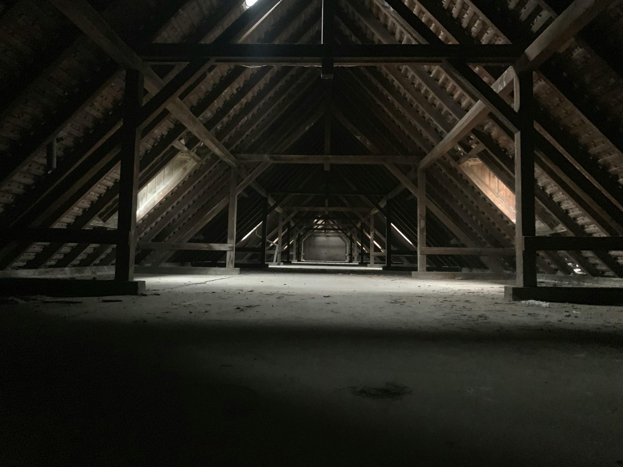 Why You Need Experts for Attic Remediation