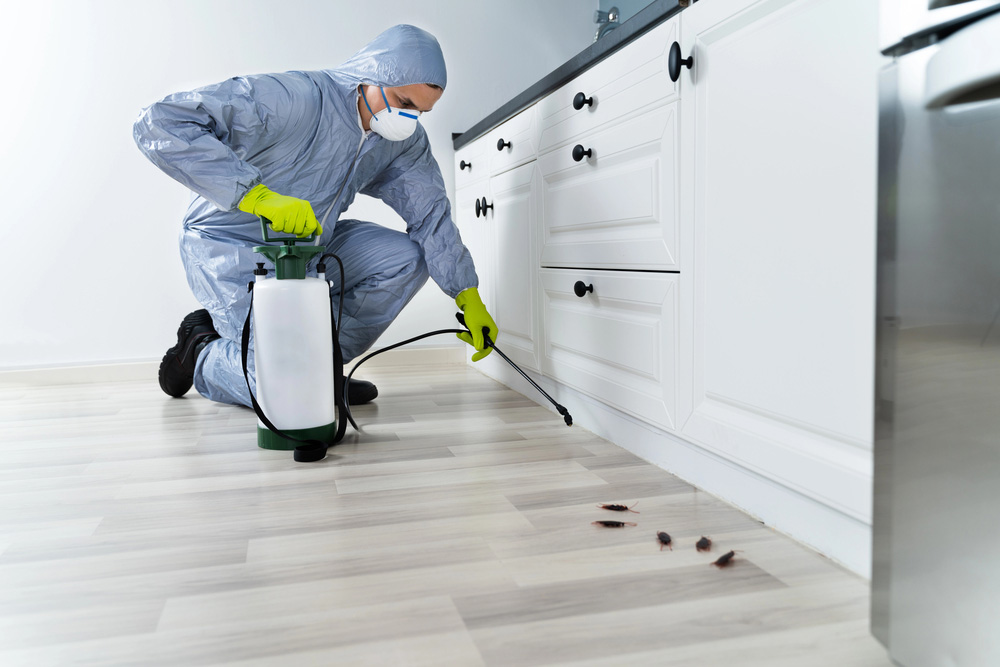 Is It Worth Calling Pest Control In San Diego, CA?