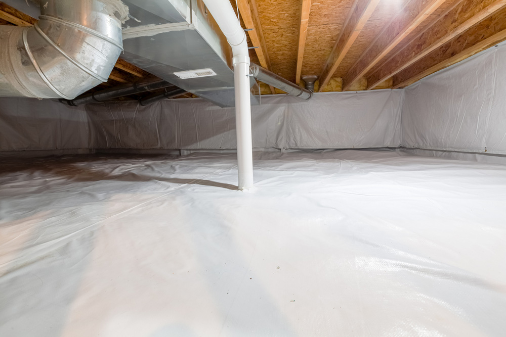 What To Expect From Crawl Space Repair In Glendale, AZ After Wildlife Removal