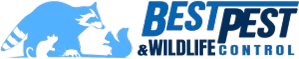 Footer Logo