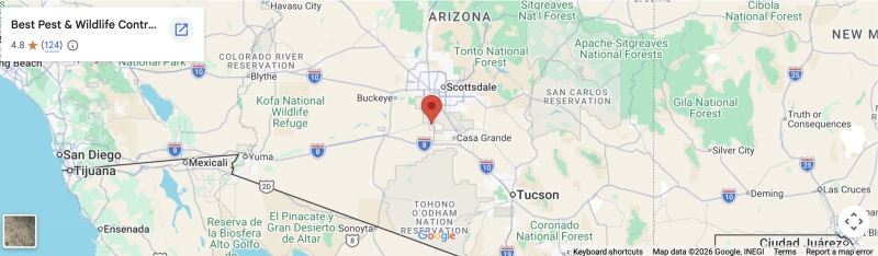 Arizona Map Image