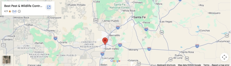 Santa Map Image