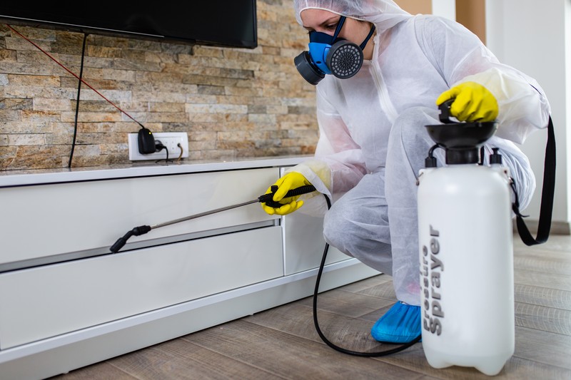 8 Questions To Ask A Pest Control Company In Colorado Before Hiring